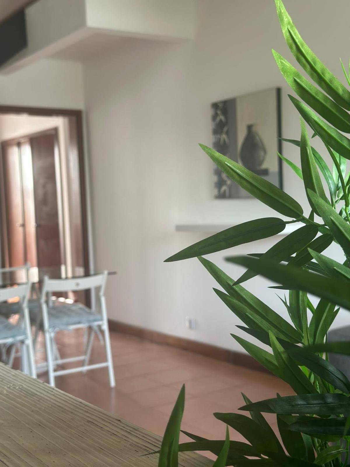 Azores Pedra Apartments - T0 E T1 Ponta Delgada  Luaran gambar